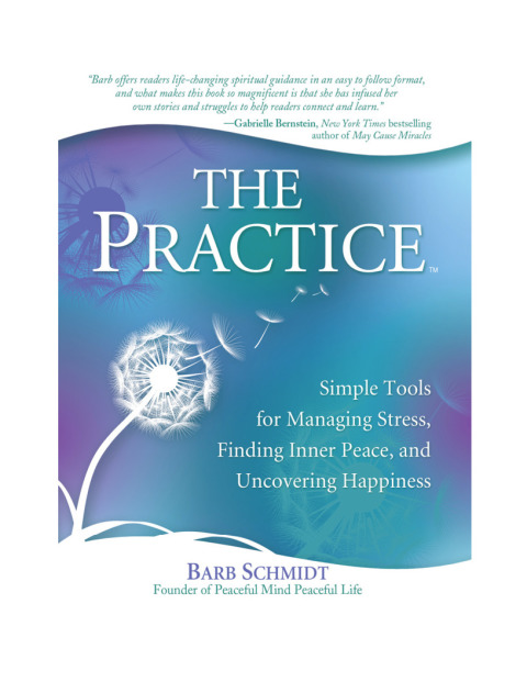 Cover image for book The Practice