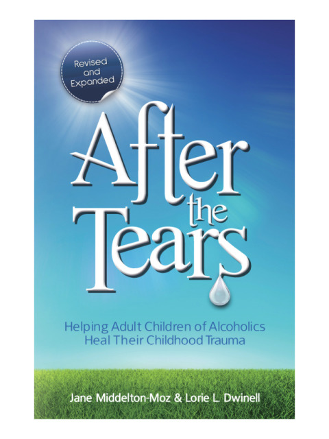 Cover image for book After the Tears