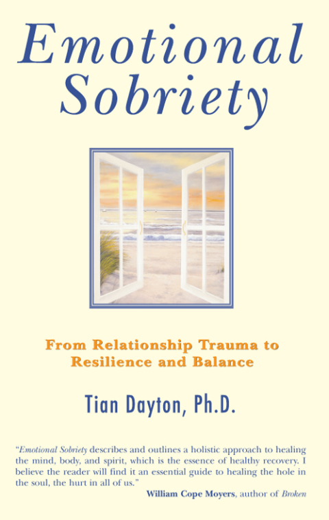Cover image for book Emotional Sobriety