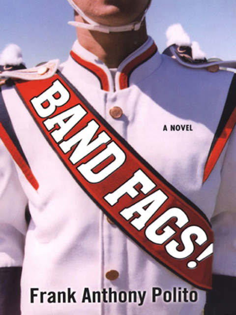 Cover image for book Band Fags!