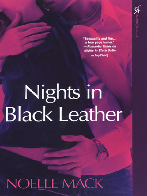 Cover image for book Nights In Black Leather