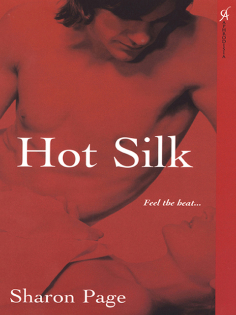 Cover image for book Hot Silk