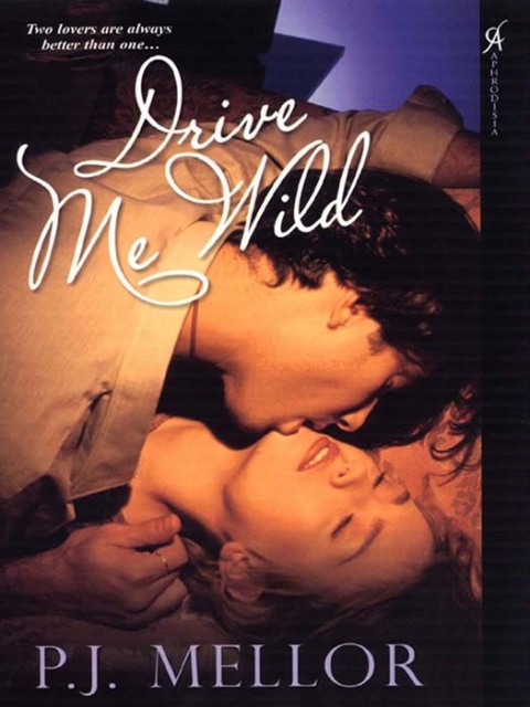 Cover image for book Drive Me Wild