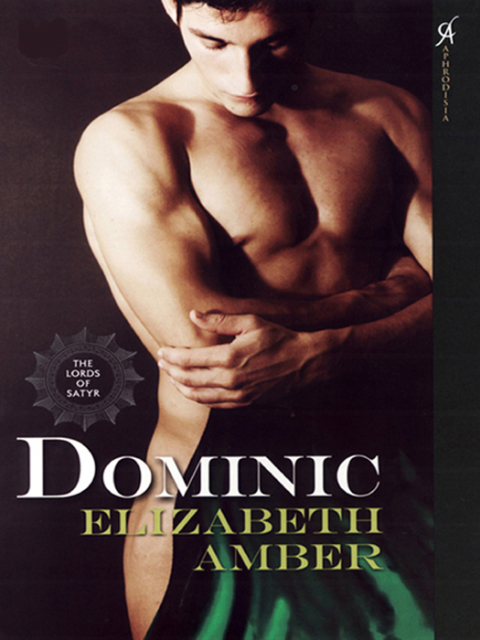 Cover image for book Dominic
