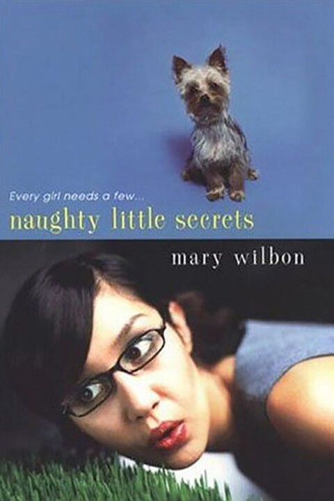 Cover image for book Naughty Little Secrets