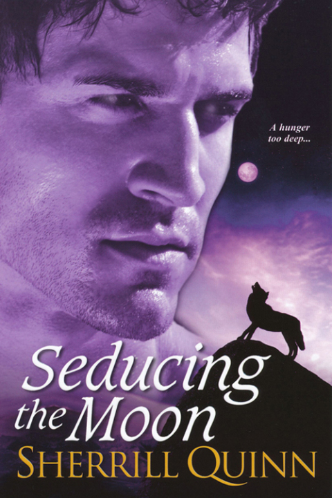 Cover image for book Seducing the Moon