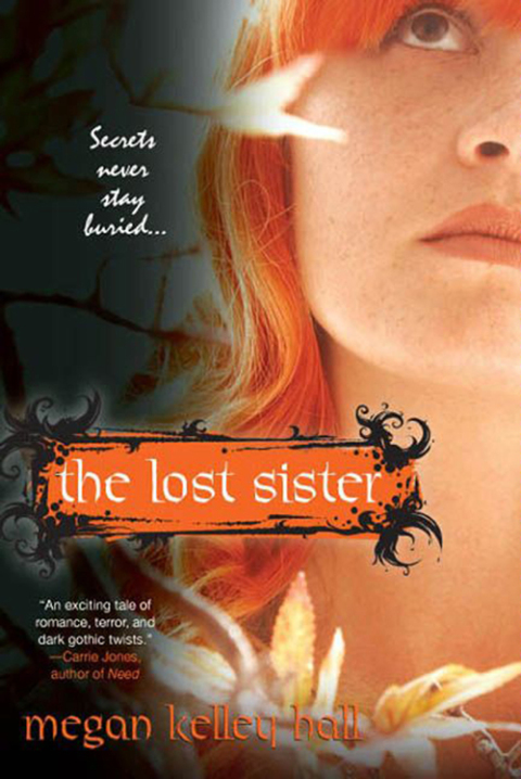 Cover image for book The Lost Sister