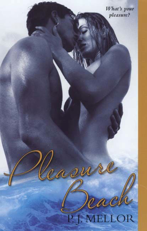 Cover image for book Pleasure Beach