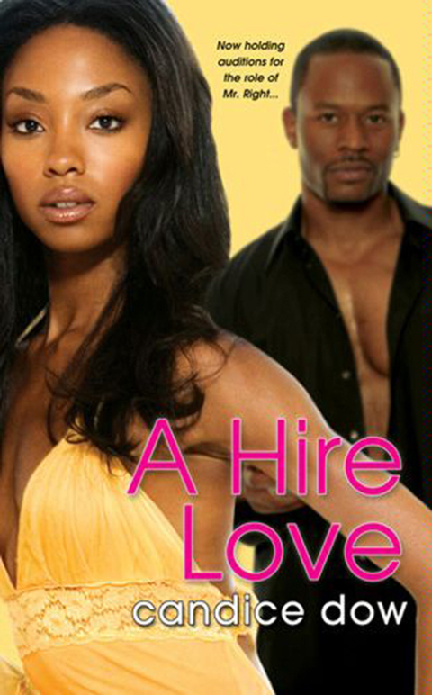 Cover image for book A Hire Love