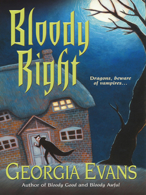 Cover image for book Bloody Right