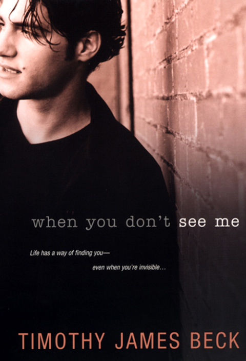 Cover image for book When You Don't See Me