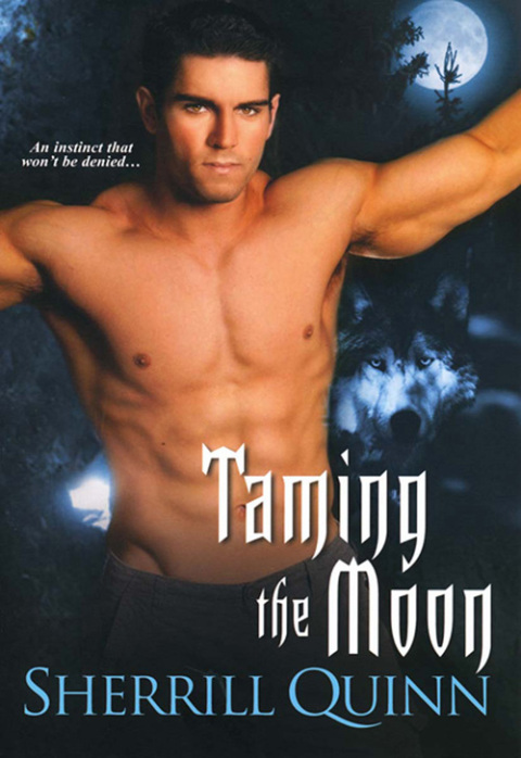 Cover image for book Taming the Moon