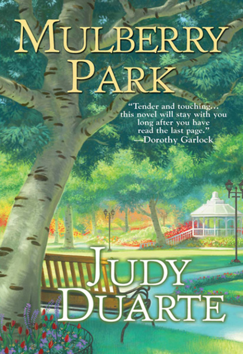 Cover image for book Mulberry Park