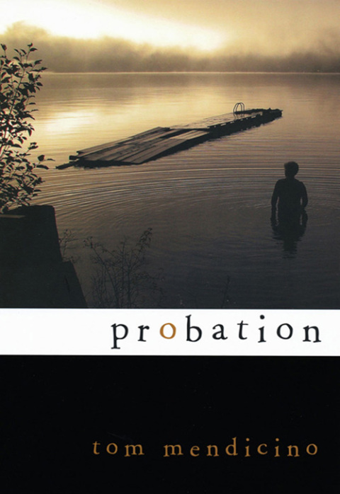 Cover image for book Probation