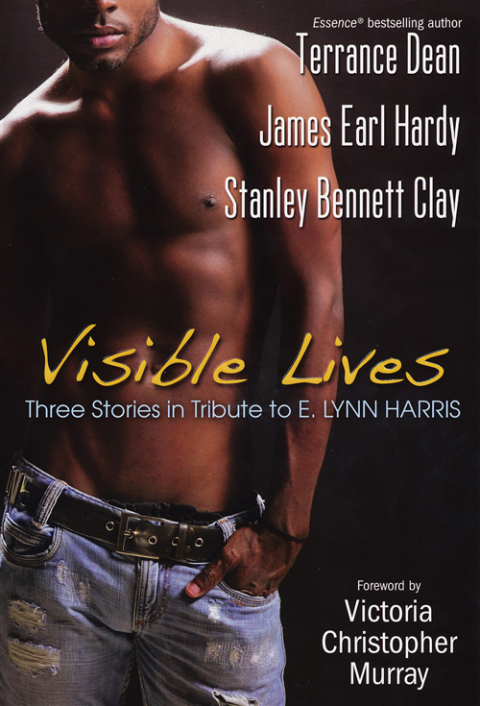 Cover image for book Visible Lives:
