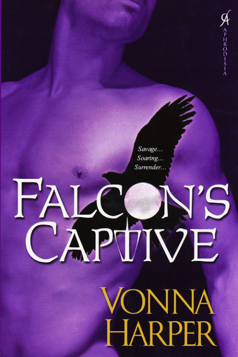 Cover image for book Falcon's Captive