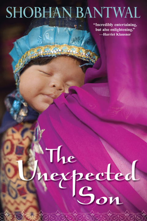 Cover image for book The Unexpected Son