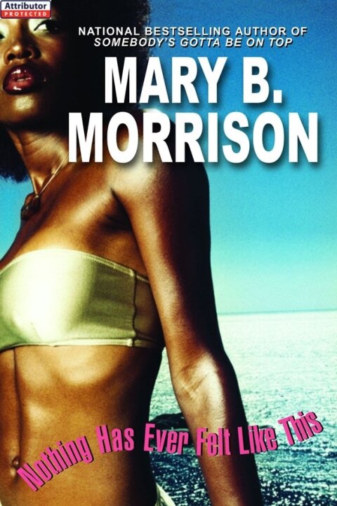 Cover image for book Nothing Has Ever Felt Like This
