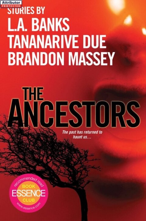 Cover image for book The Ancestors: