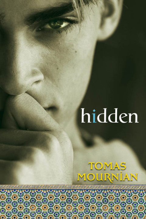 Cover image for book hidden