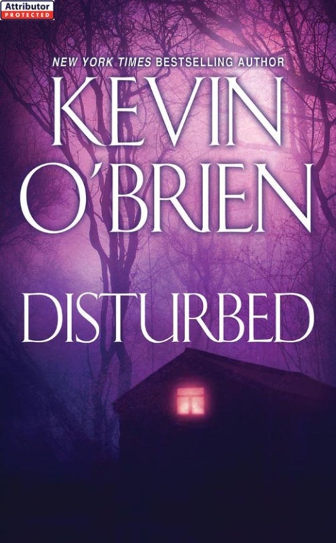 Cover image for book Disturbed