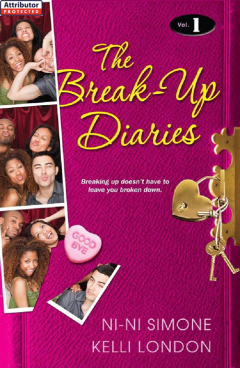 Cover image for book The Break-Up Diaries:
