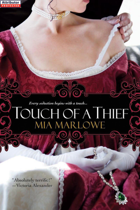 Cover image for book Touch of a Thief