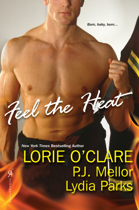 Cover image for book Feel the Heat
