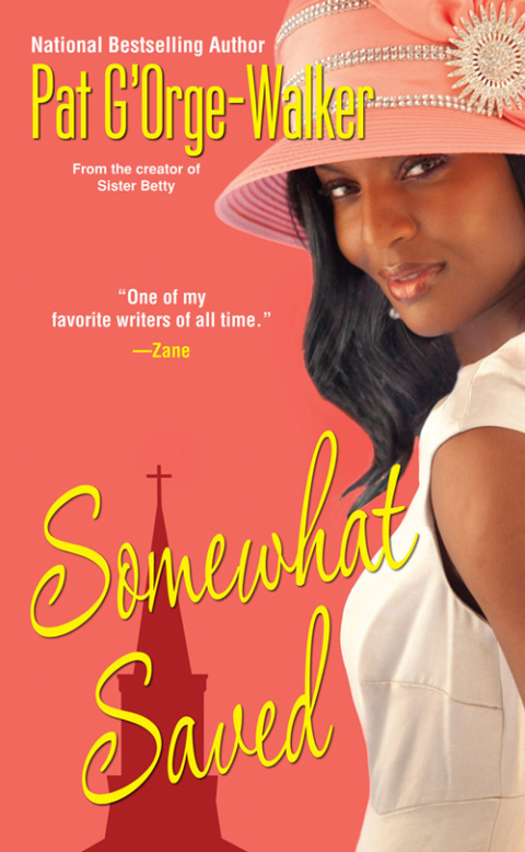 Cover image for book Somewhat Saved