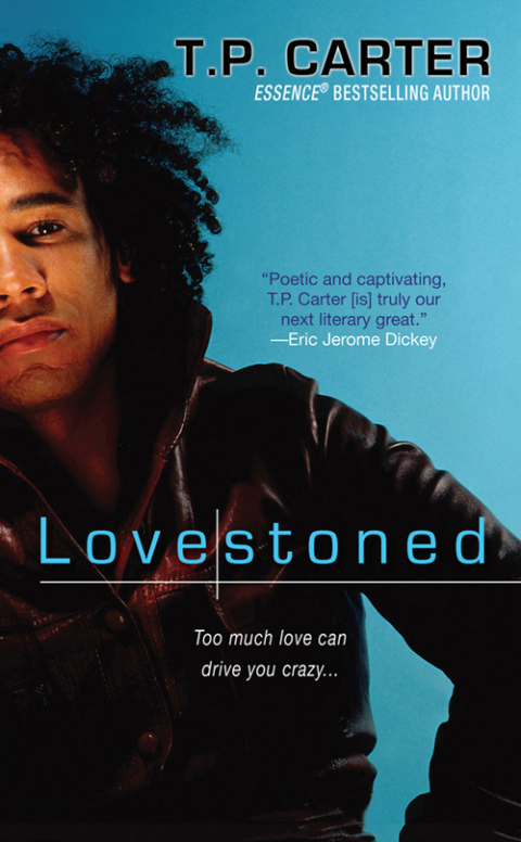 Cover image for book Lovestoned