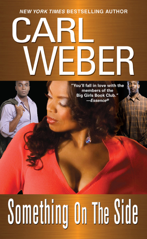Cover image for book Something On The Side