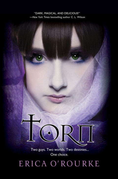 Cover image for book Torn