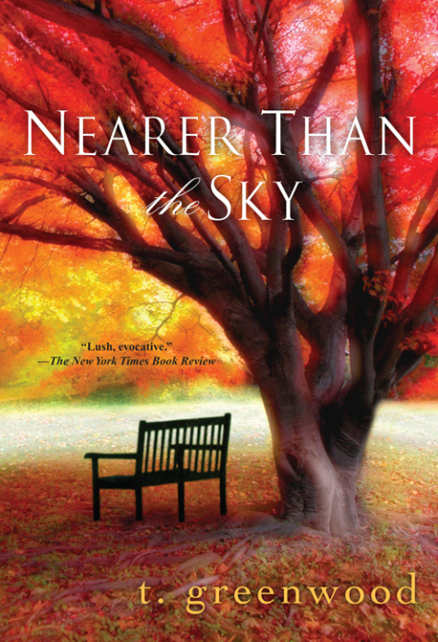 Cover image for book Nearer Than The Sky