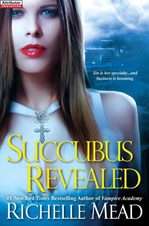 Cover image for book Succubus Revealed