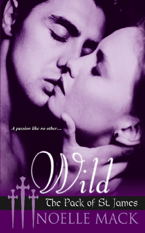 Cover image for book Wild
