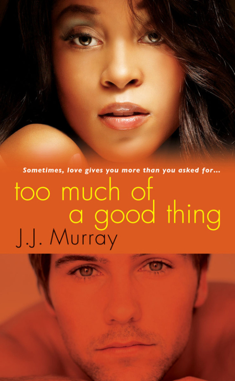 Cover image for book Too Much of a Good Thing