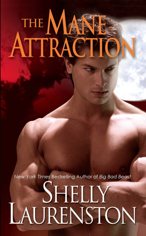 Cover image for book The Mane Attraction