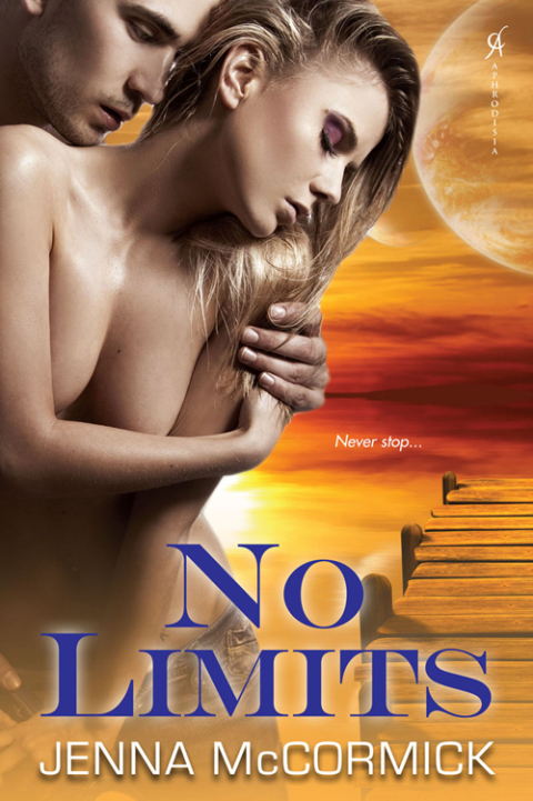 Cover image for book No Limits