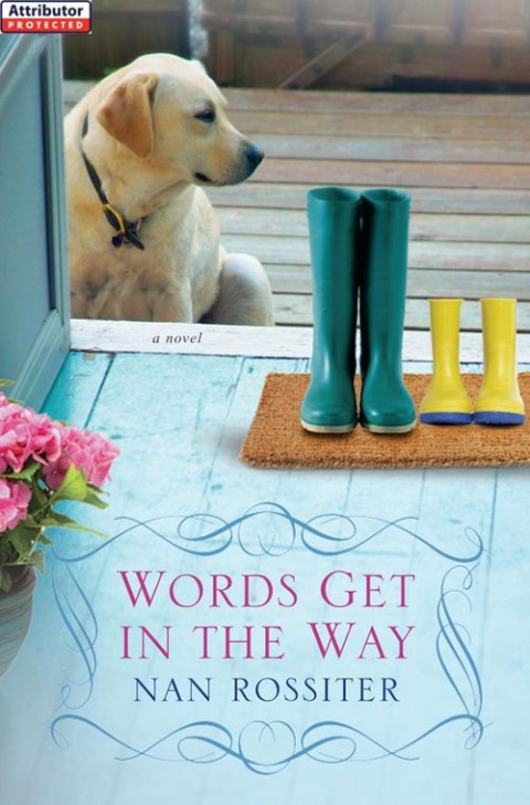 Cover image for book Words Get In the Way