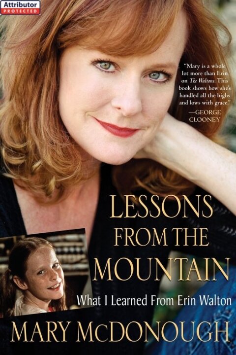 Cover image for book Lessons from the Mountain