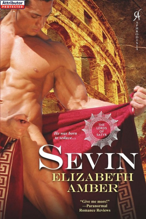 Cover image for book Sevin