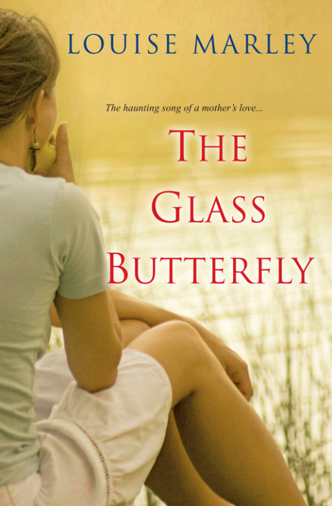 Cover image for book The Glass Butterfly