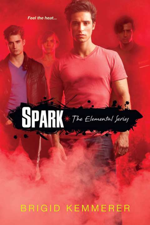 Cover image for book Spark