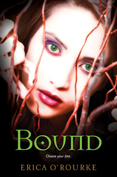 Cover image for book Bound