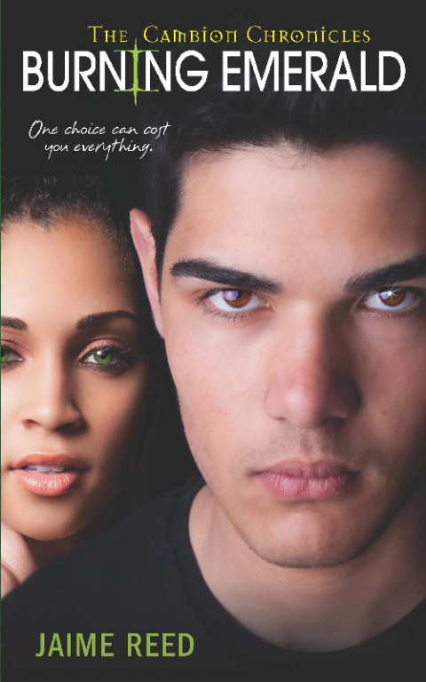 Cover image for book Burning Emerald