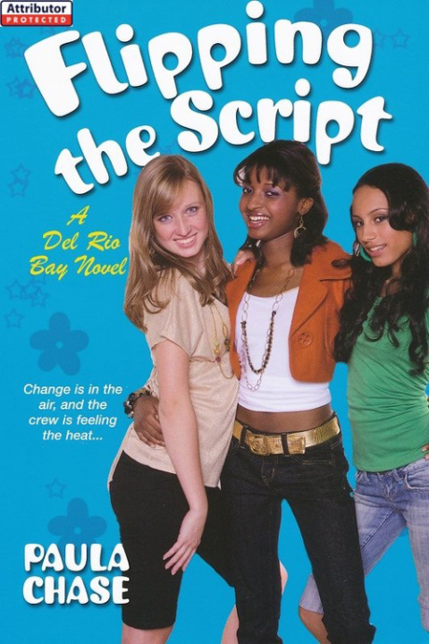 Cover image for book Flipping the Script