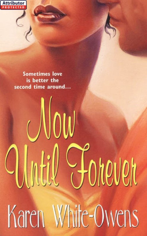 Cover image for book Now Until Forever