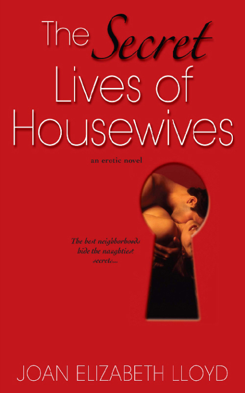 Cover image for book The Secret Lives Of Housewives