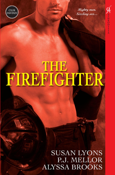Cover image for book The Firefighter