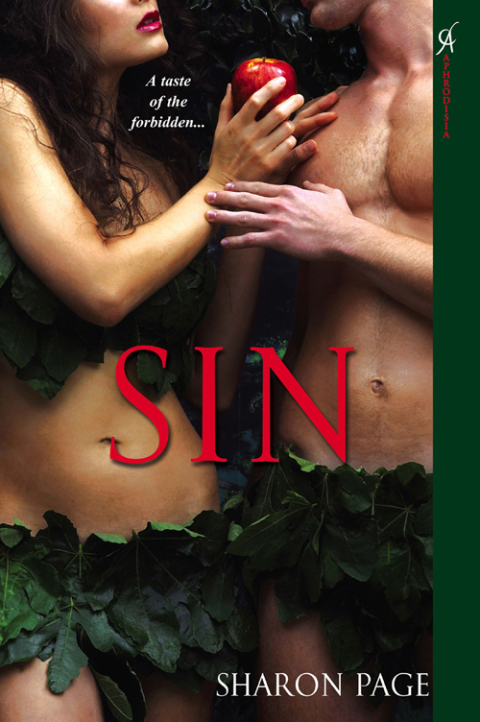 Cover image for book Sin
